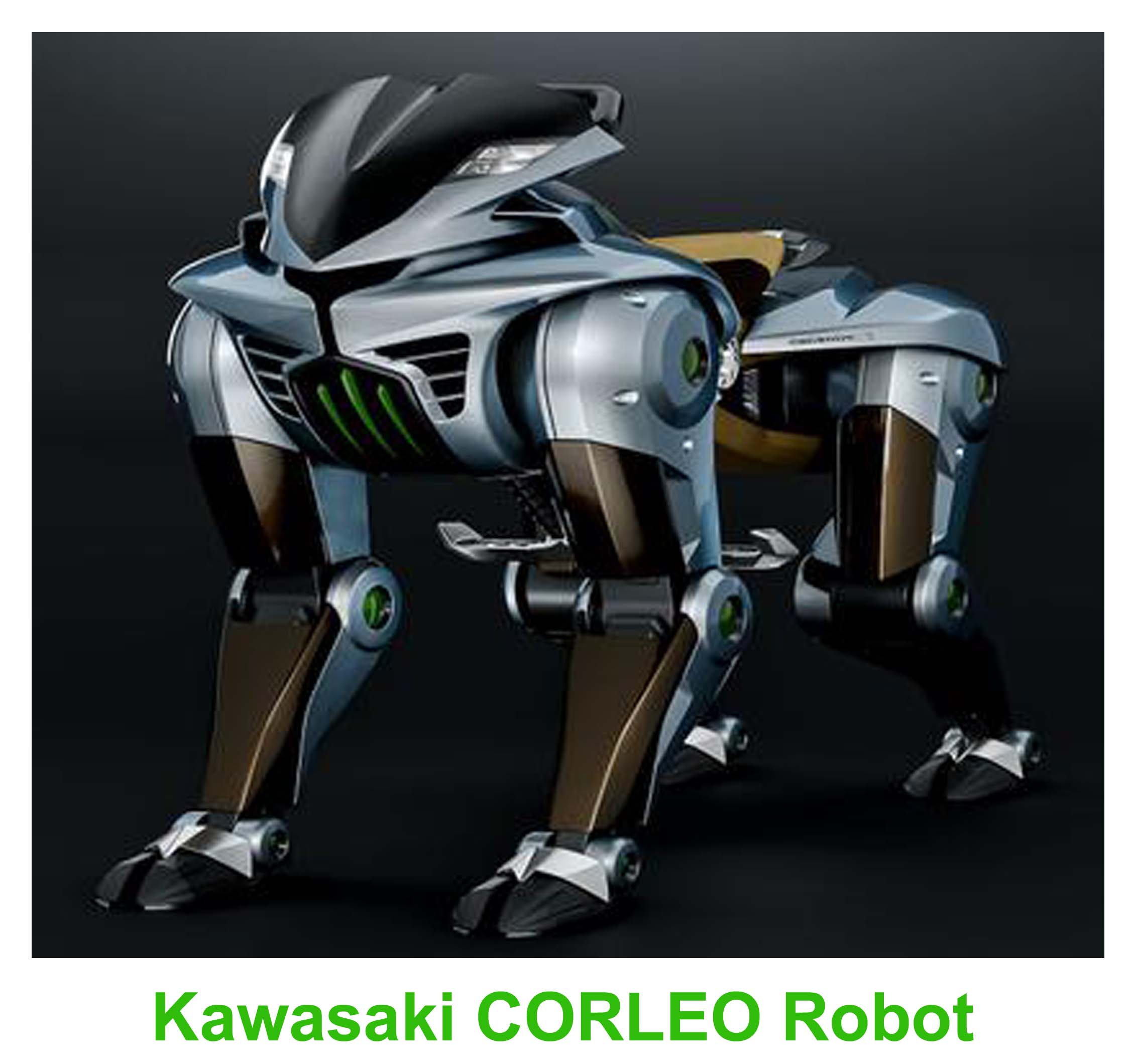 Kawasaki CORLEO Robot