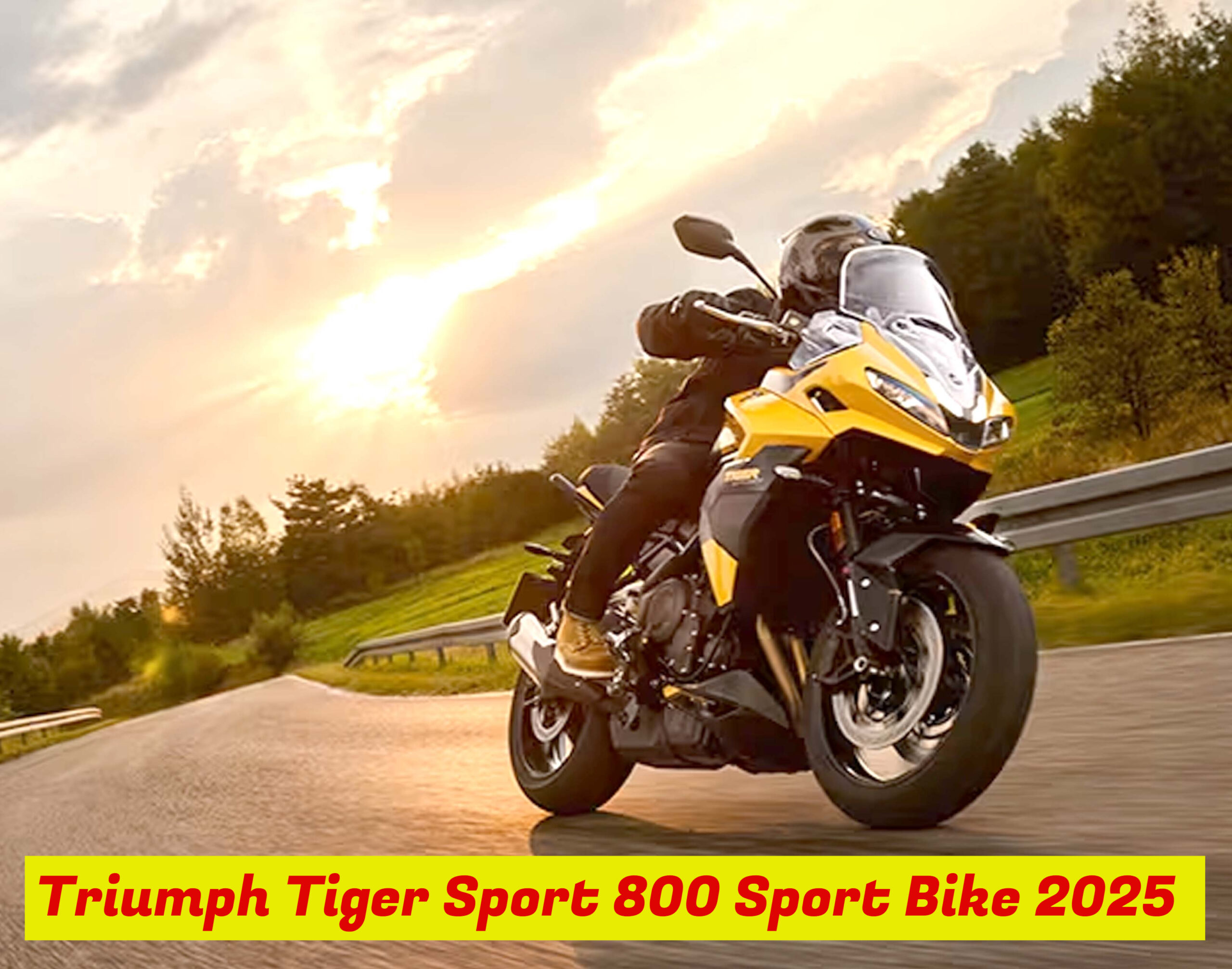Triumph Tiger Sport 800 Sport Bike 2025 